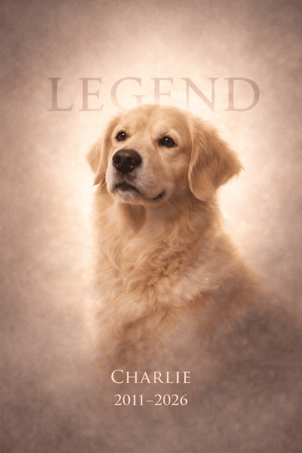 Eternal Companion