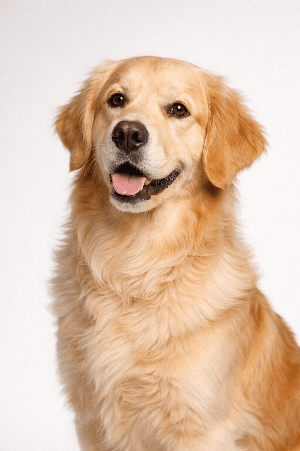 Minimal Studio Modern